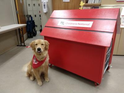 Children’s National Hospital Mobile Doghouse Finished 