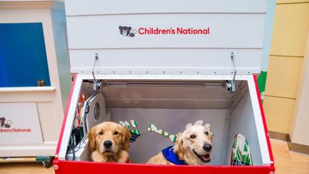 Children’s National Hospital Pet Therapy program